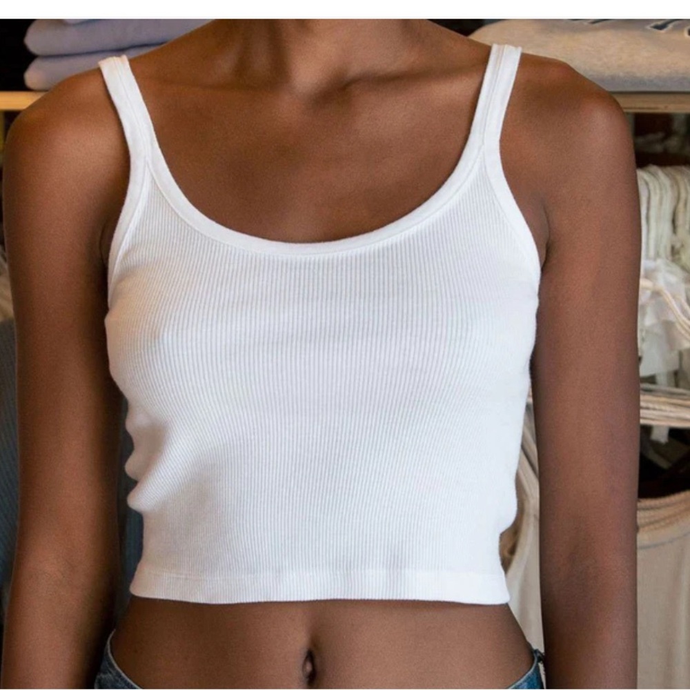 Brandy Melville Beyonca Crop Top